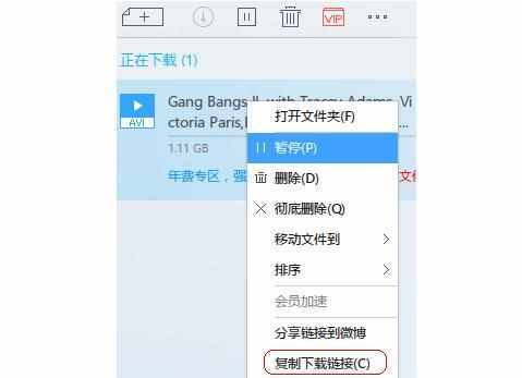 迅雷链接下载不了_迅雷链接下载速度为0_迅雷下载链接