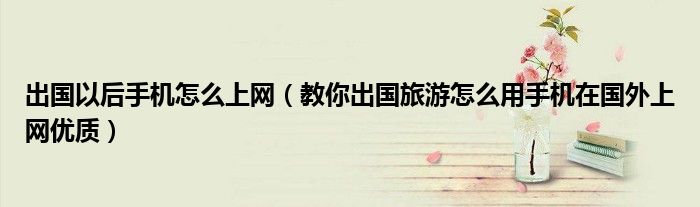 永久免费跨境浏览app_跨境浏览下载安卓_跨境浏览网站