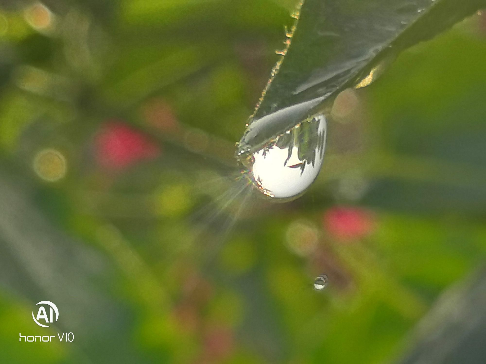积目_积目怎么玩直接约最高_积目官网