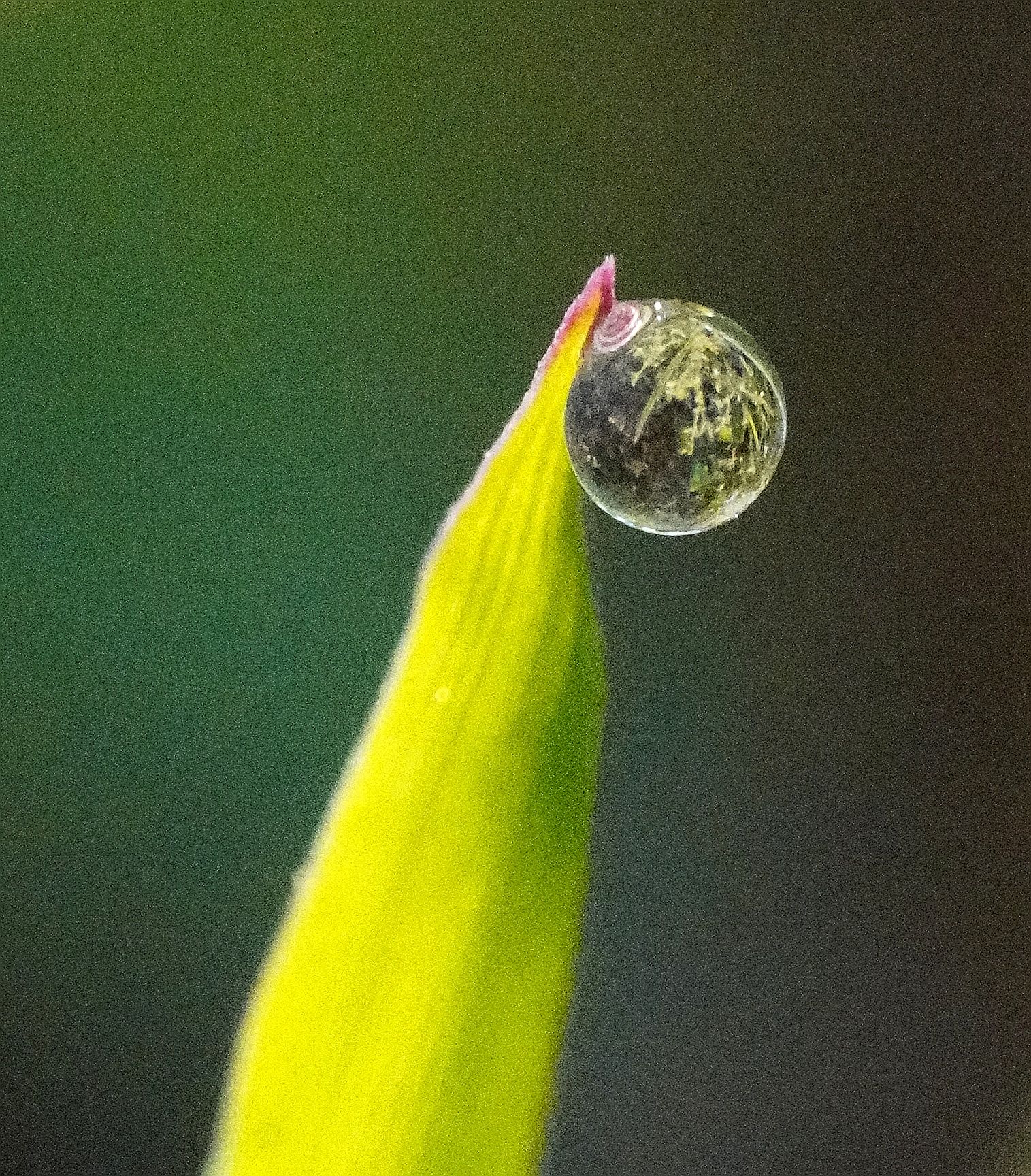 积目怎么玩直接约最高_积目官网_积目