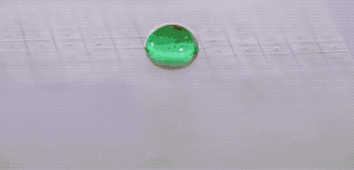 积目官网_积目_积目怎么玩直接约最高