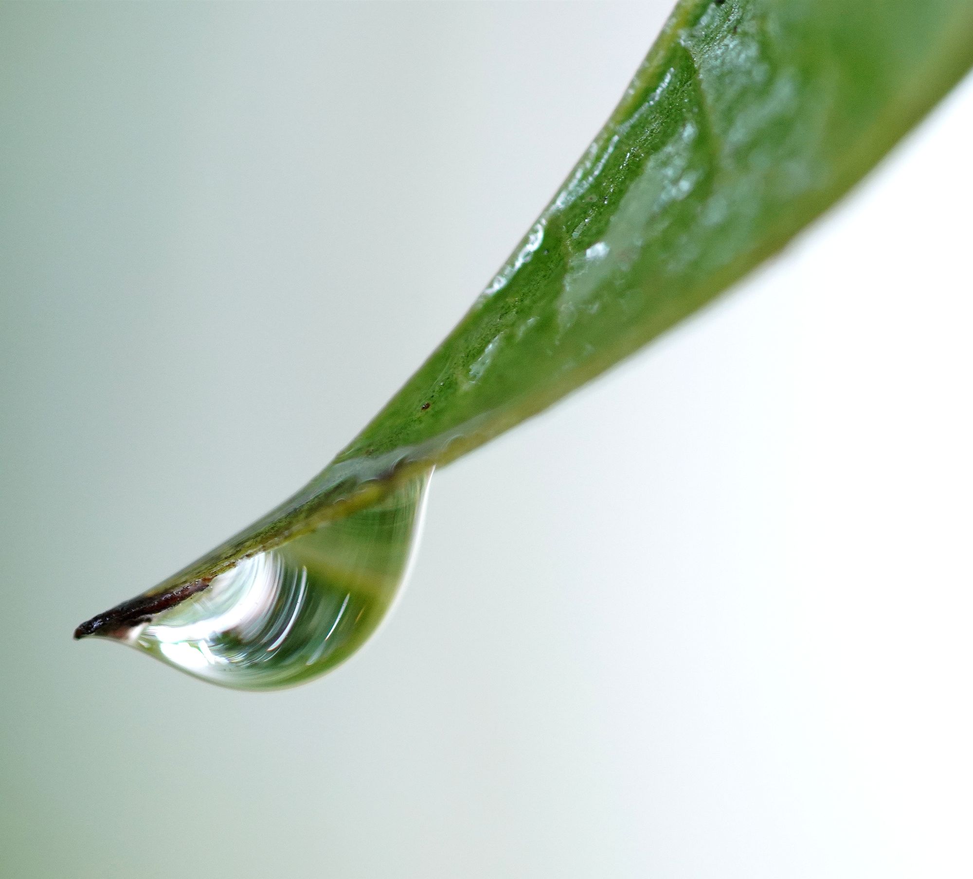 积目_积目怎么玩直接约最高_积目官网