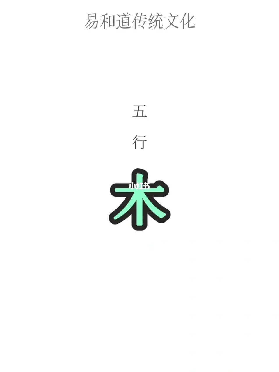 五行修神决：身心融合，开启无尽力量