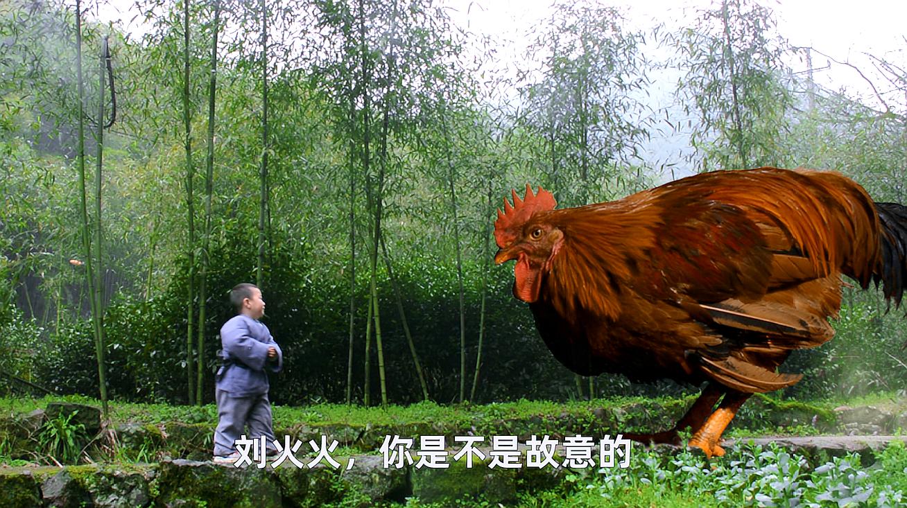 蜜汁八宝饭的做法视频_蜜汁视频_蜜汁短视频如何打开