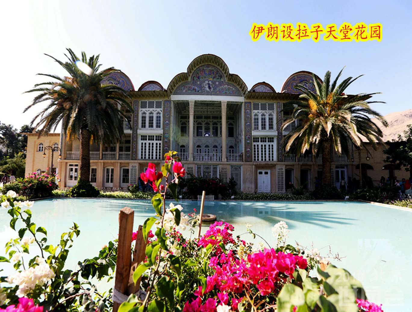 伊丁天堂_伊丁天堂这个游戏怎么样_伊丁天堂王族