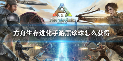 方舟黑珍珠代码_方舟生存进化单机黑珍珠代码_方舟黑珍珠代码2020
