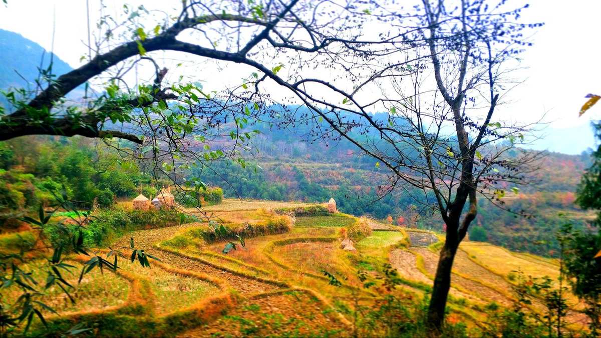 我多想回到家乡再回到她的身旁是什么歌_我多想回到家乡再回到她的身旁是什么歌_我多想回到家乡再回到她的身旁是什么歌