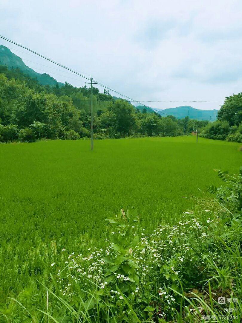 我多想回到家乡再回到她的身旁是什么歌_我多想回到家乡再回到她的身旁是什么歌_我多想回到家乡再回到她的身旁是什么歌