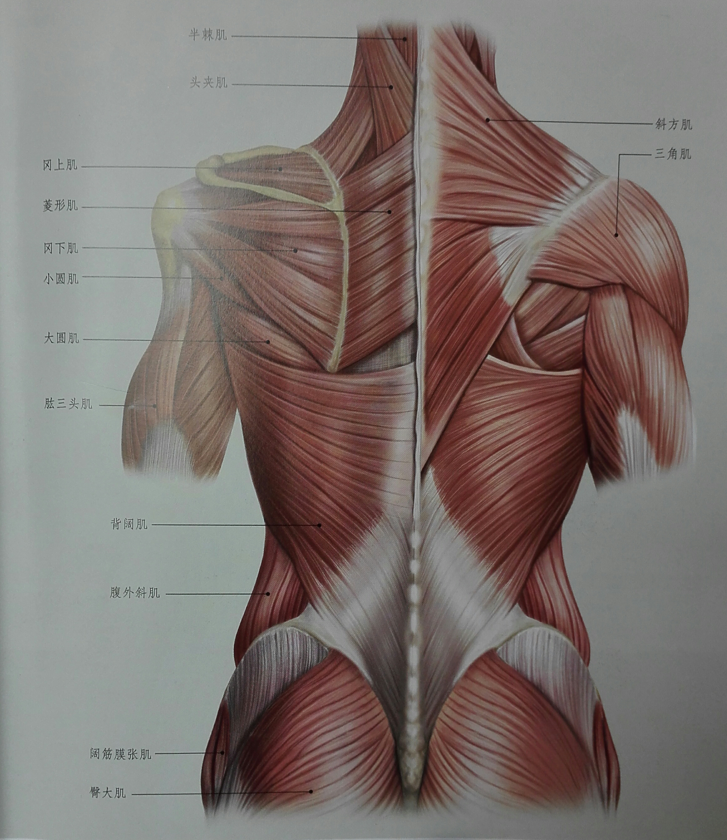 最强腿法回旋踢教学_十大最强腿法_最强腿法教学
