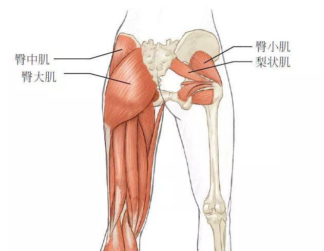 十大最强腿法_最强腿法回旋踢教学_最强腿法教学