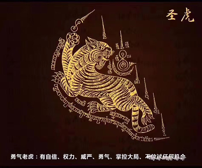 骚虎视_骚虎视_骚虎视