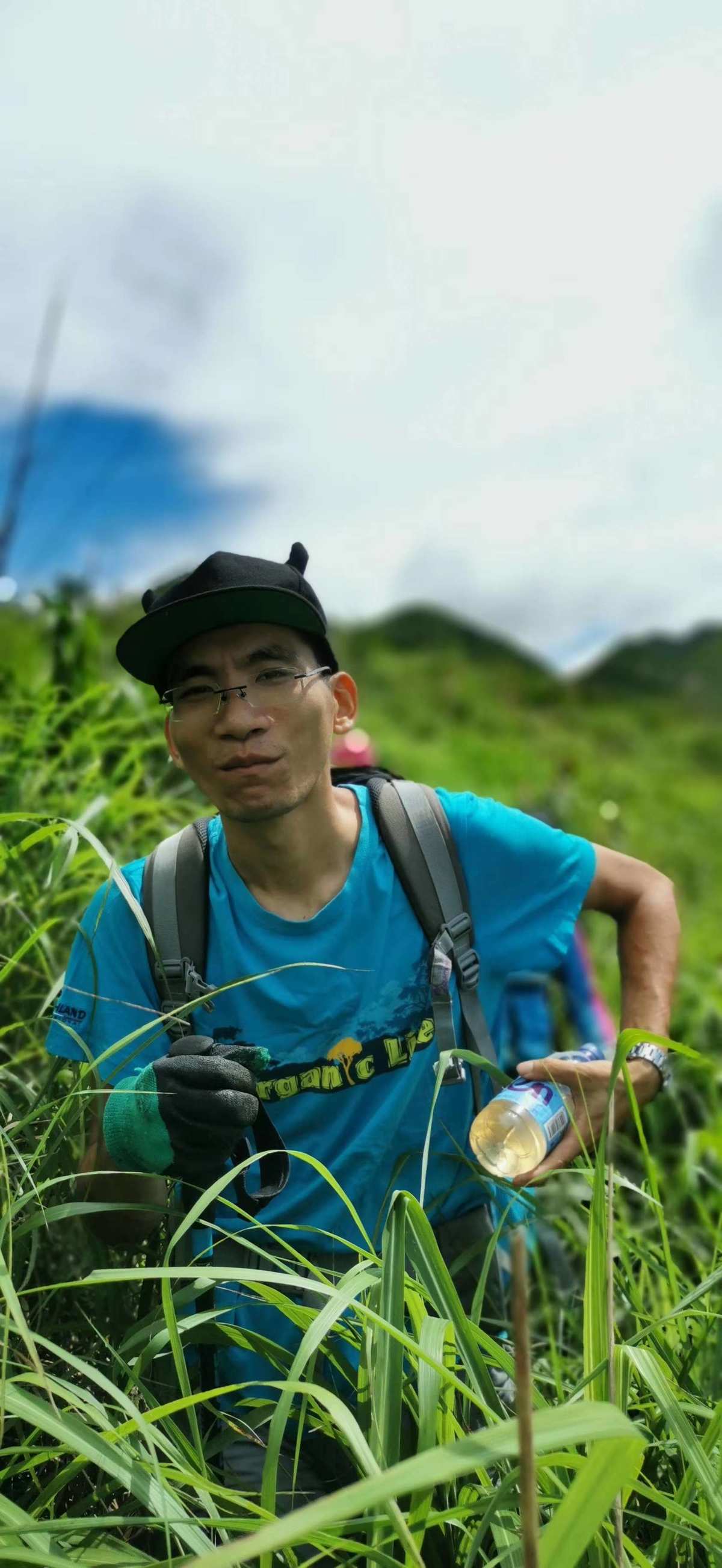 长叶微孔草（原变种）_原神无相之草_杉原杏璃草织衣作品