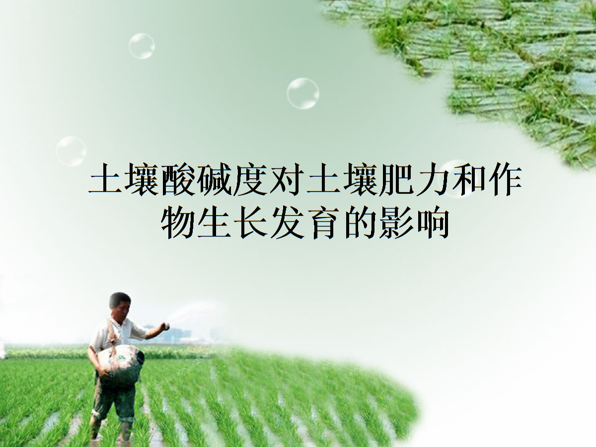 种地游戏手游_种地游戏_和妖怪们一起种地游戏