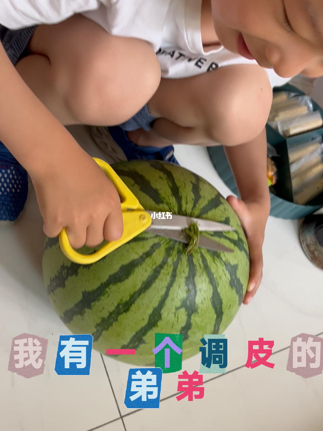 藤吉郎_藤吉郎_藤吉郎