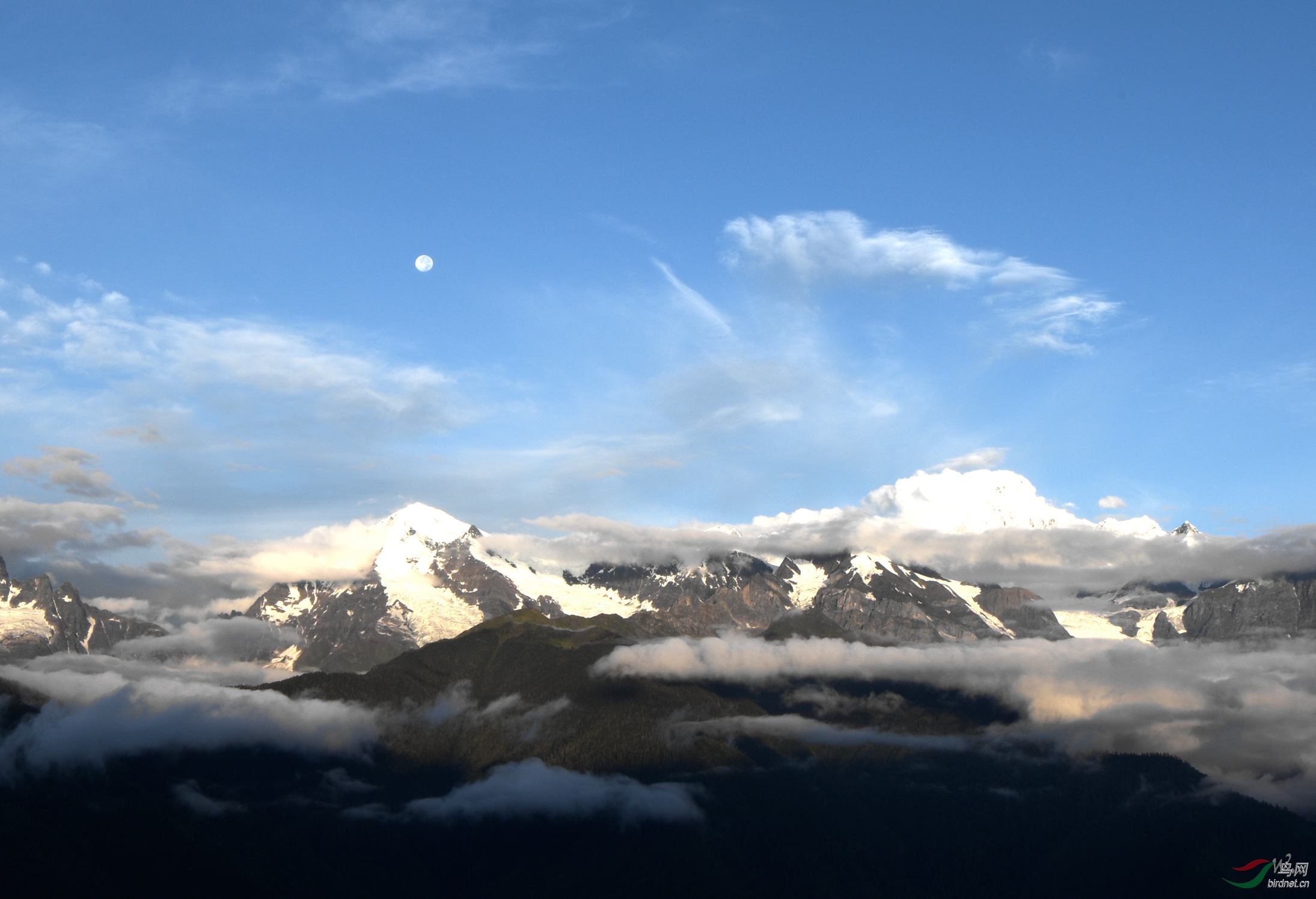 雪山解谜原神_原神雪山解密_原神雪山解密攻略