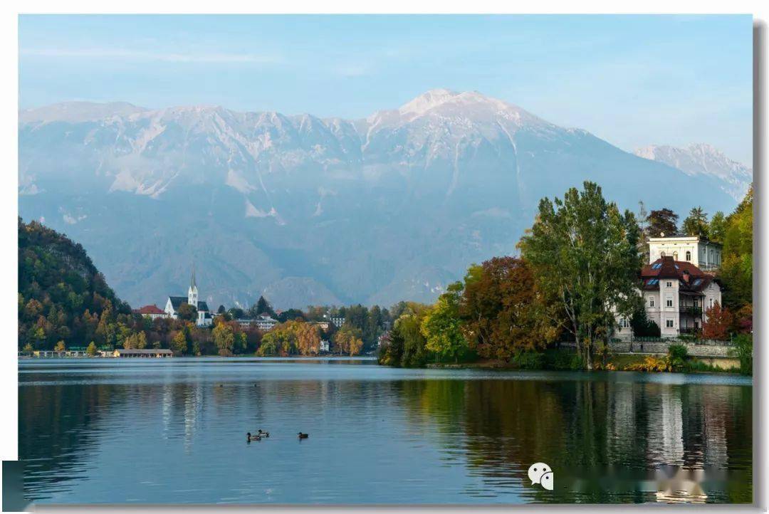 赞丽糖果今日价格_赞丽2023最新消息_赞丽