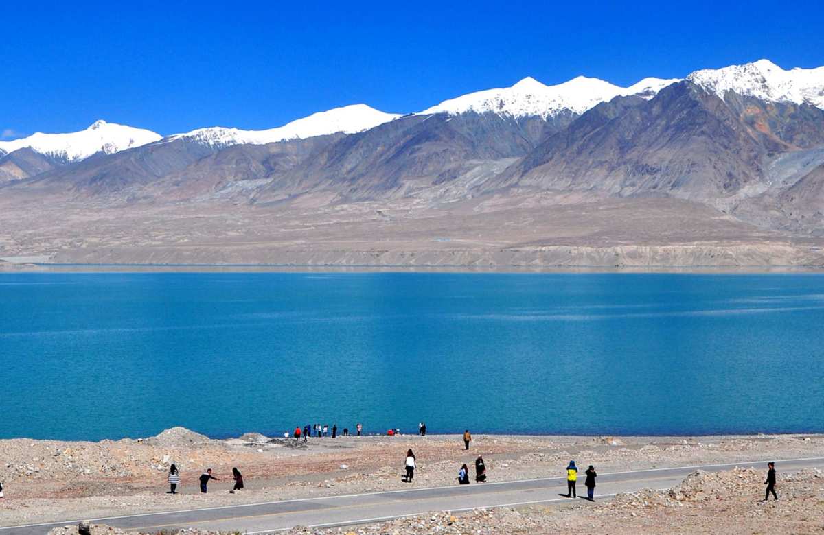 赞丽2023最新消息_赞丽糖果今日价格_赞丽