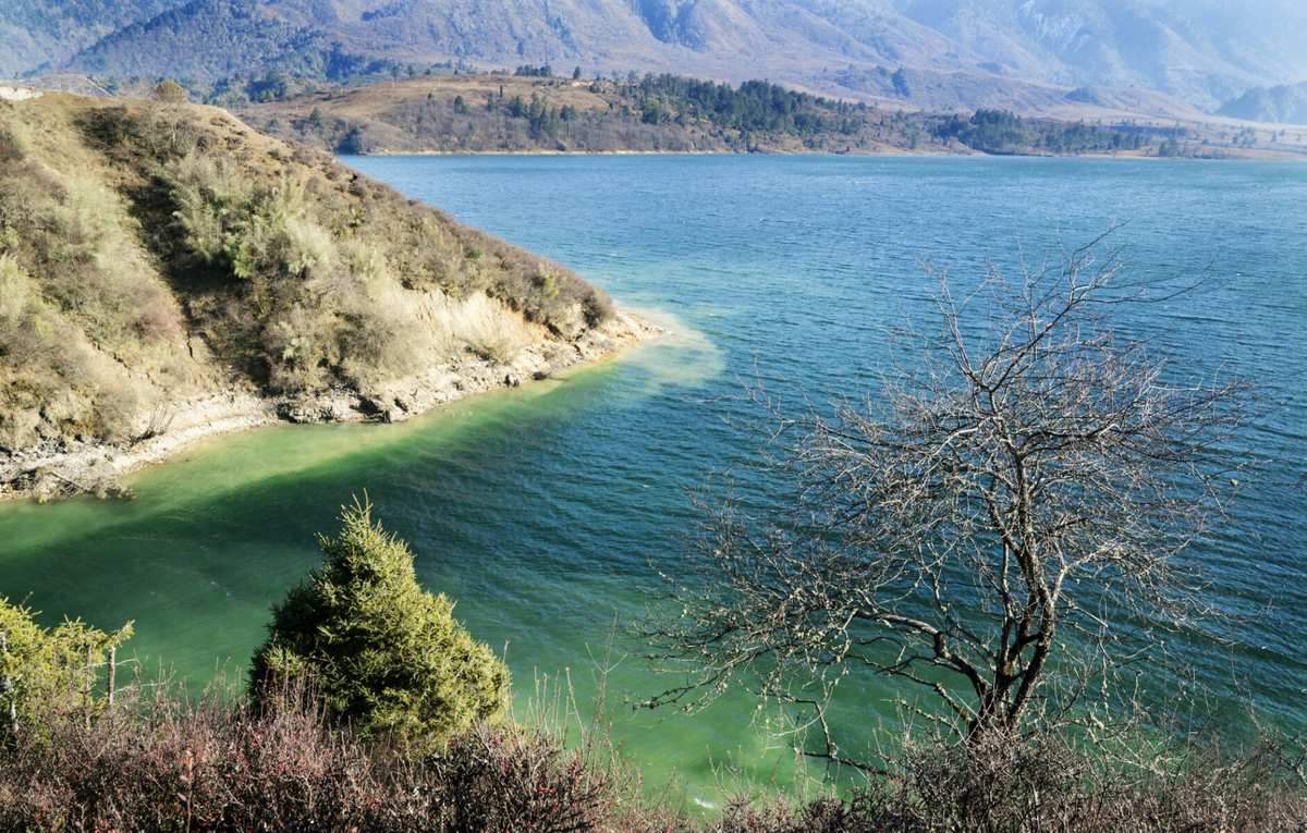 赞丽_赞丽2023最新消息_赞丽糖果今日价格