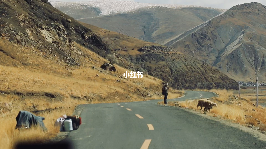 好快活_快活好事温暖仔细的近义词_快活好事温暖仔细的反义词