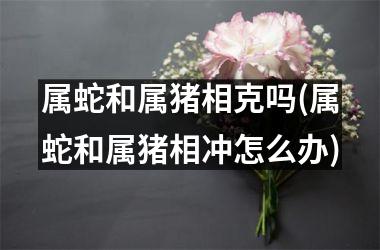 相逢生肖嫁恨时是什么生肖_相逢恨晚未嫁时什么意思_恨不相逢未嫁时是什么生肖