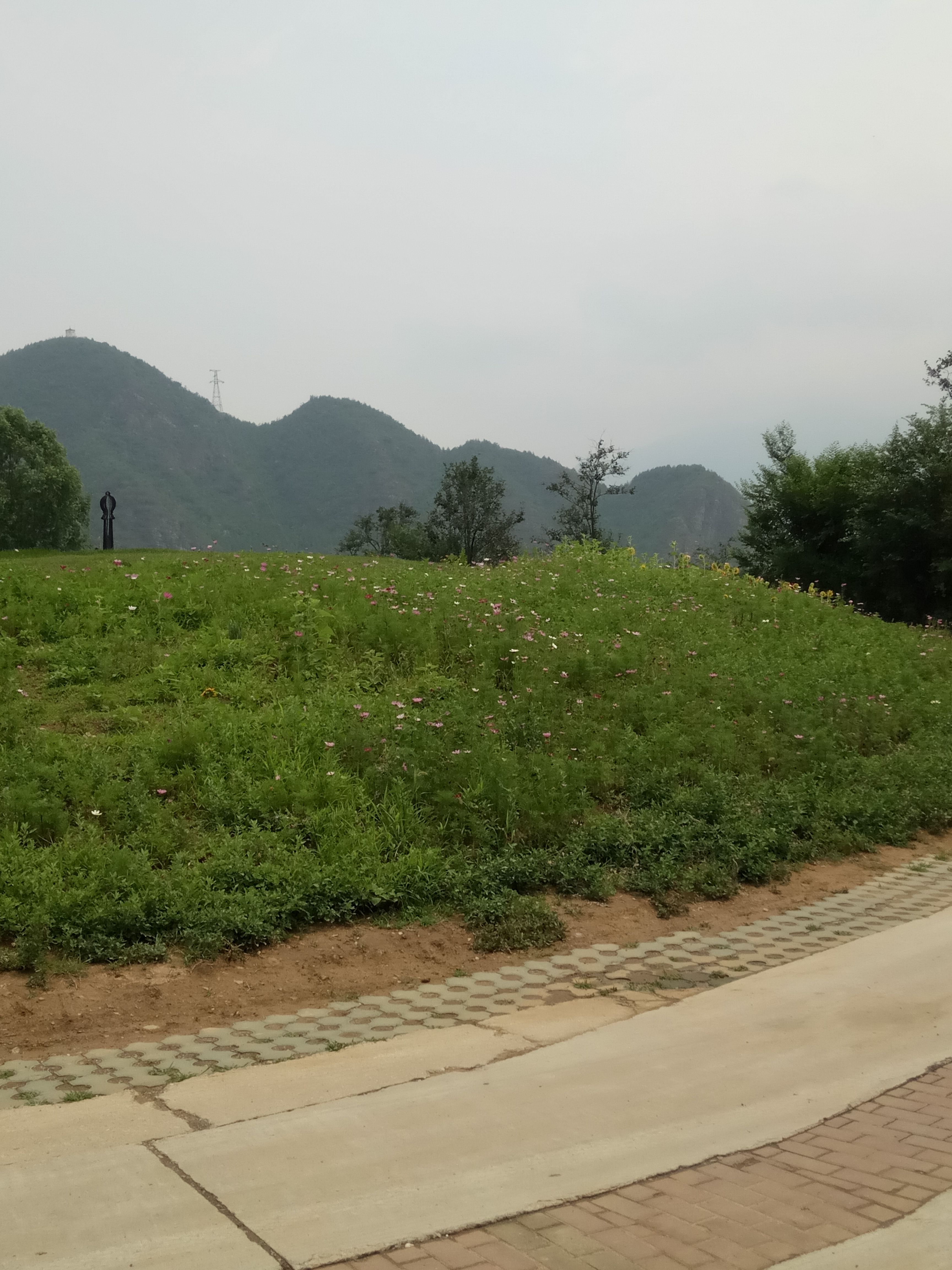 龙牧：滨海国际（微）电影节第三届参赛力作
