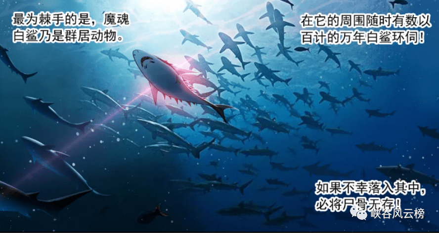 大陆斗罗大陆_大陆斗罗大陆真人版_斗罗大陆3dkninebox