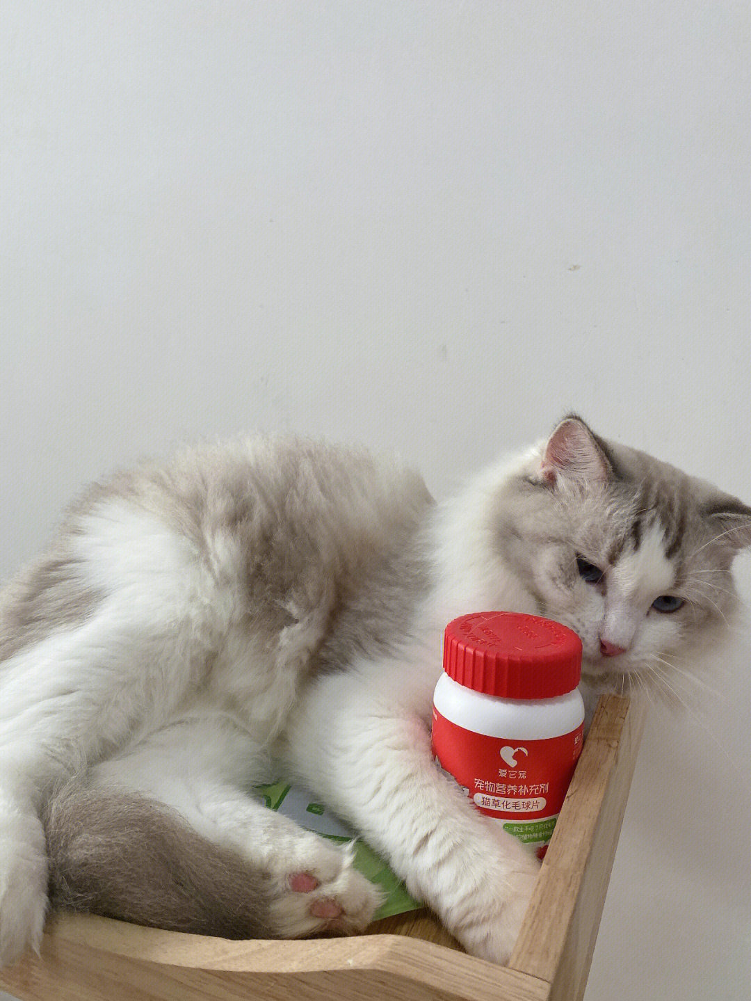 猫咪社区在线_猫咪社区在线_猫咪社区在线