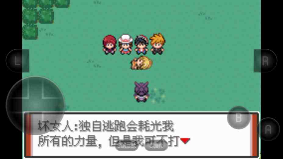 黑白口袋妖怪汉化版攻略_黑白口袋妖怪汉化版下载_口袋妖怪黑白汉化版