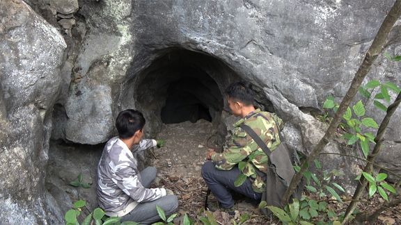 狐仙奇缘手游_狐仙奇缘传_狐仙奇缘