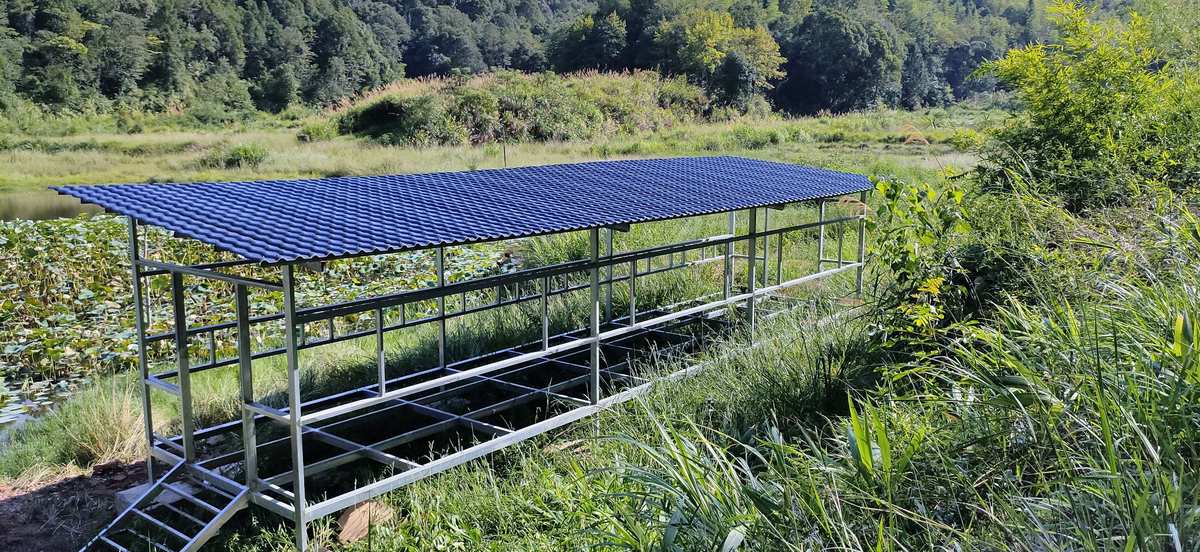 建个大农场_建造大农场_农场怎么建设规划