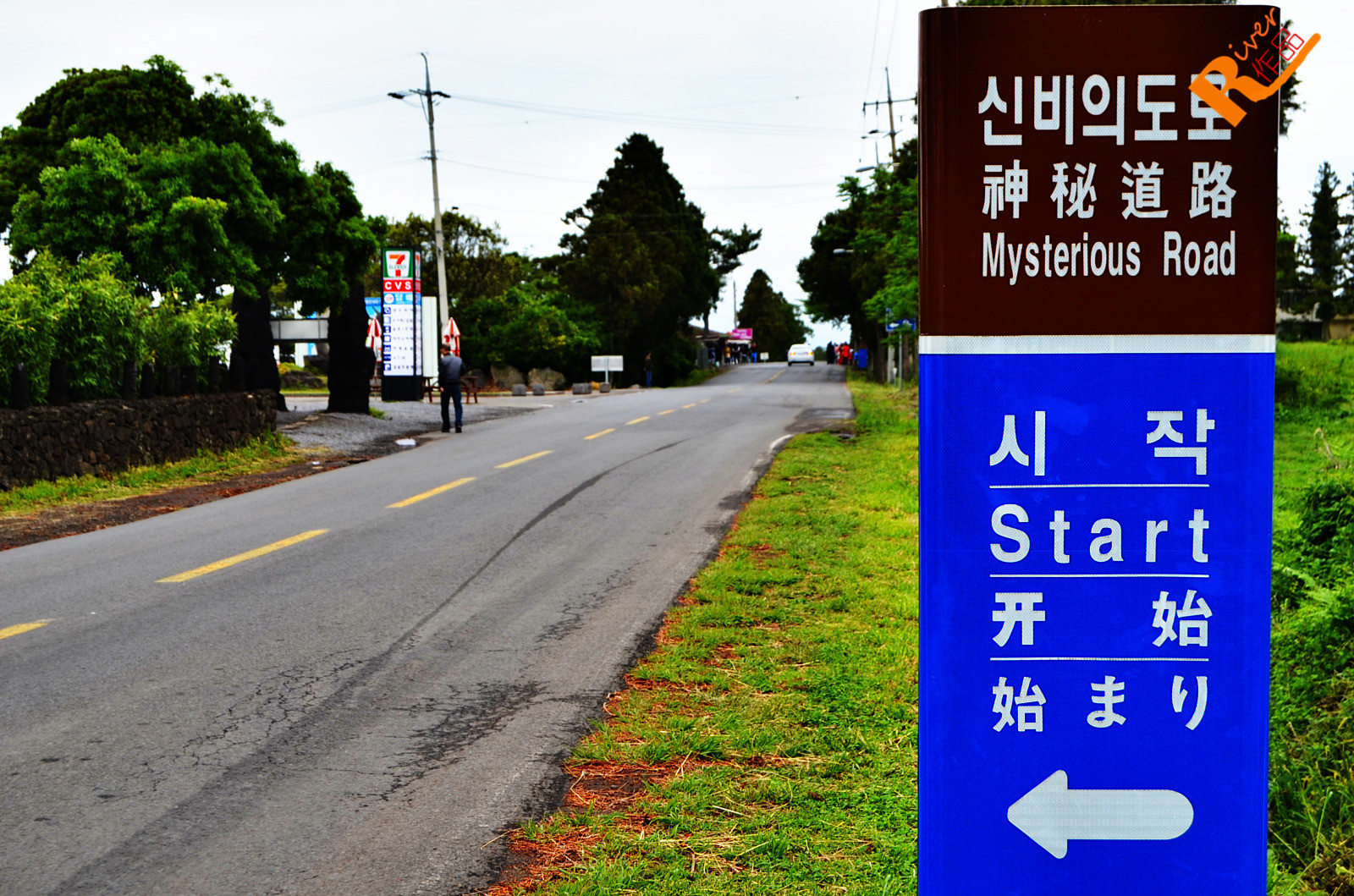 生命线有岛纹_生命之岛_岛生命之泉