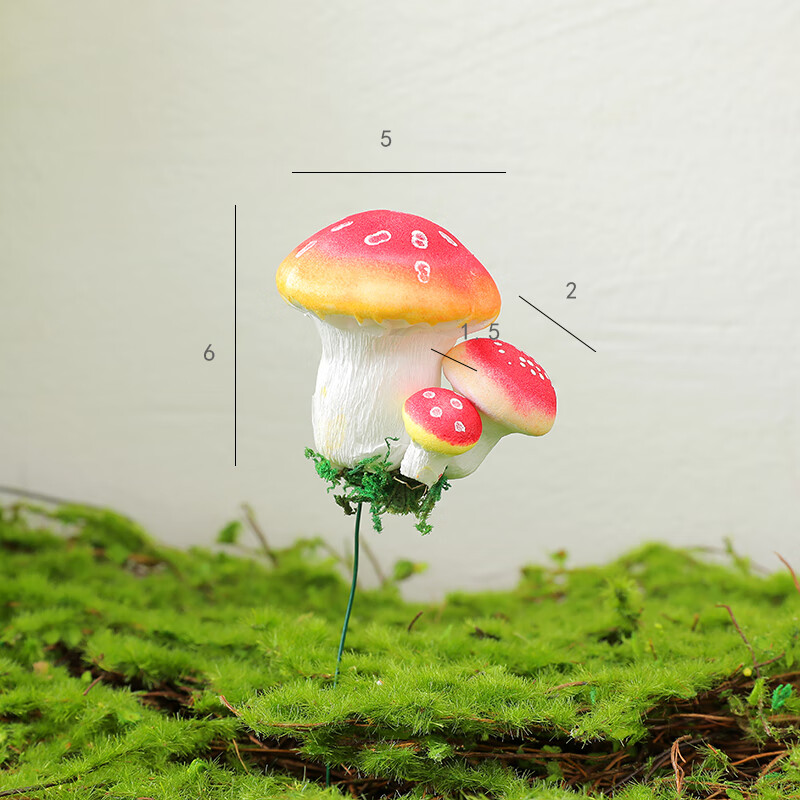 蘑菇洞在哪里摩尔庄园_摩尔庄园蘑菇洞_摩尔庄园手游蘑菇屋