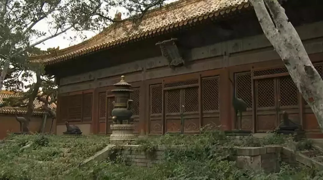 东方新世界_东方新世界_东方新世界