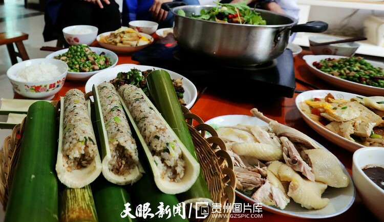 马梅蔓绿绒_马什么梅_马梅老师个人简介