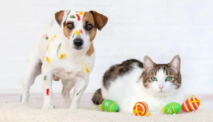 宠物大乱斗steam_宠物大乱斗攻略_宠物大乱斗