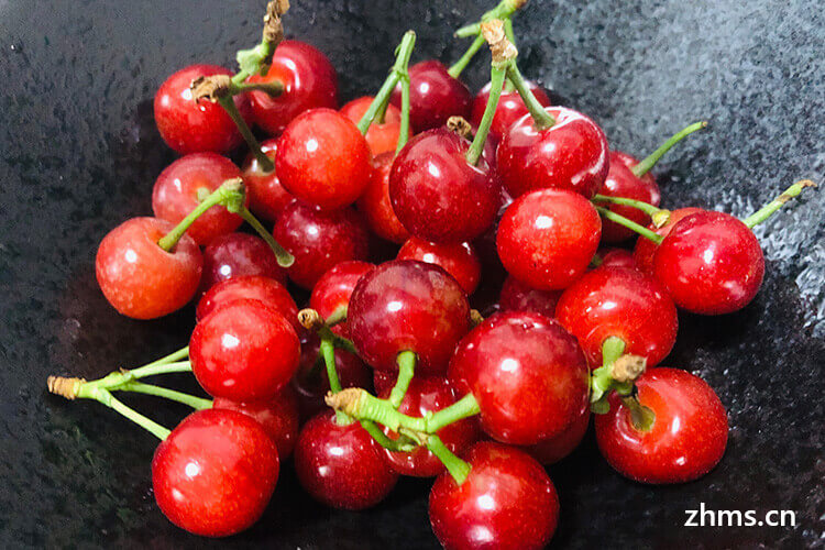 樱桃s_樱桃s_樱桃s