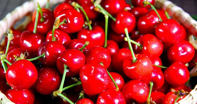 樱桃s_樱桃s_樱桃s