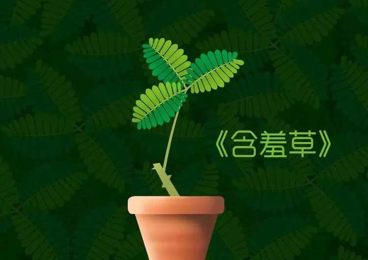 含羞草免费视频_含羞草免费视频_含羞草免费视频