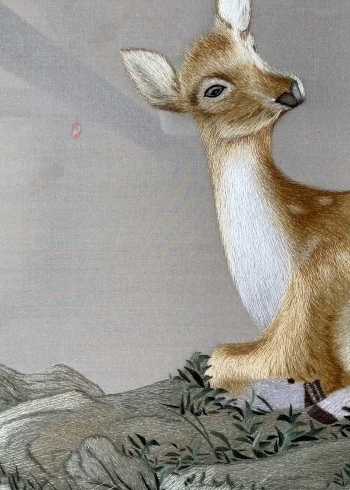 暗区突围八号鹿弹_鹿弹有多颗弹丸_鹿弹