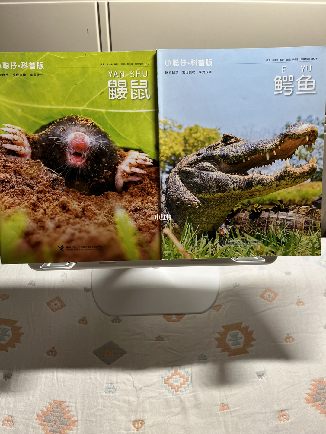 饥荒代码鼹鼠帽_饥荒鼹鼠代码_饥荒鼹鼠刷新机制