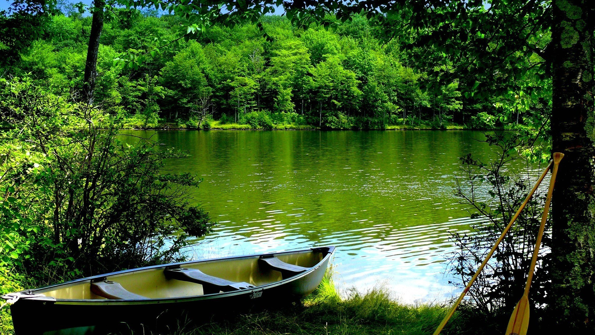 清风壁纸_清风壁纸app安卓下载_清风壁纸小程序