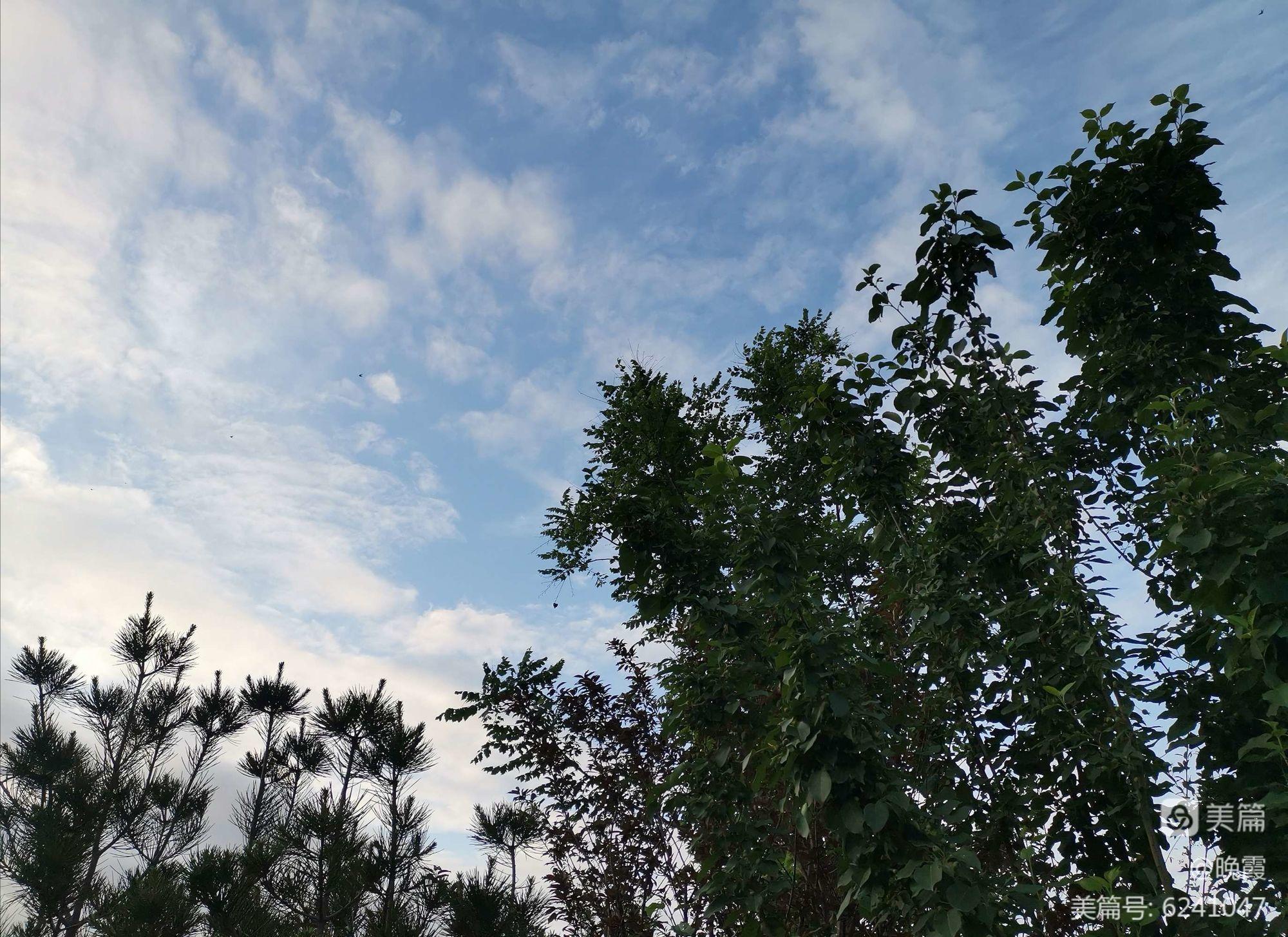永恒之美，笔尖舞动天空的神奇