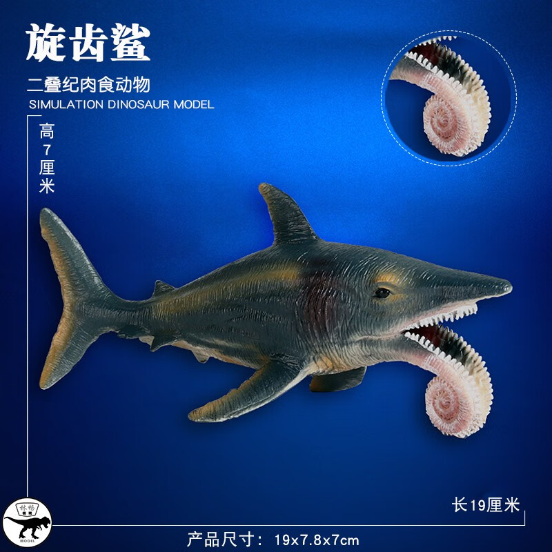 异刺鲨_异刺鲨_异刺鲨