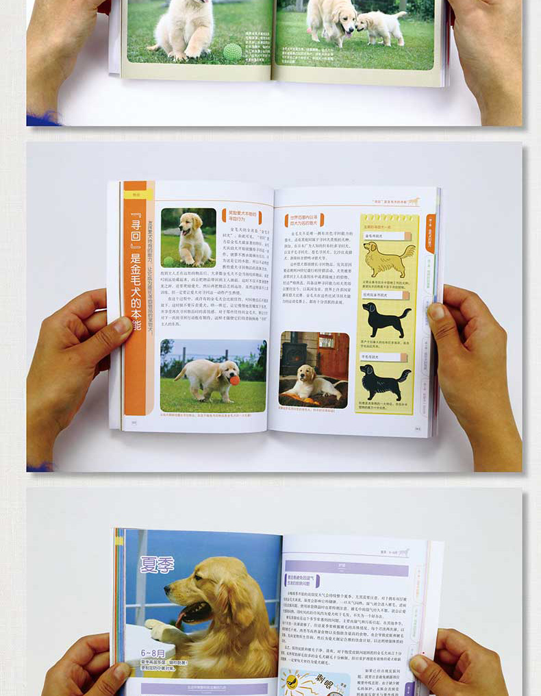 厂犬食读什么_厂犬食念什么名字_一个厂一个犬一个食念什么字