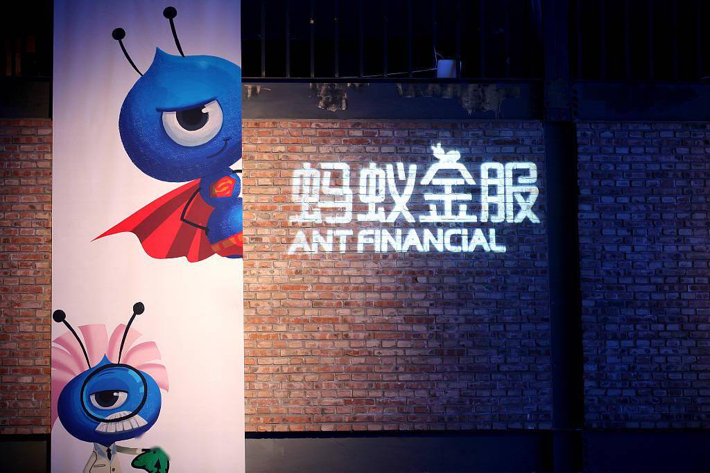 蚂蚁可以百度_蚂蚁兴能_蚂蚁能举起自身多少倍的重量