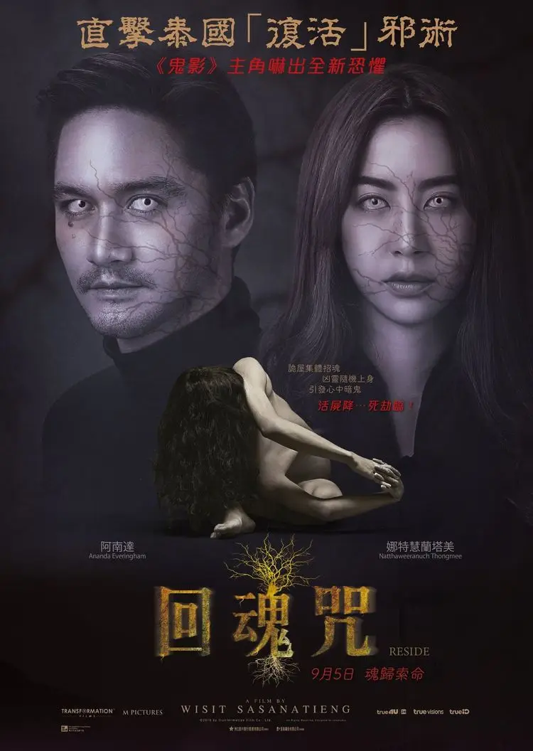 夜晚狂热,电影魅力无限 夜晚狂热,电影魅力无限