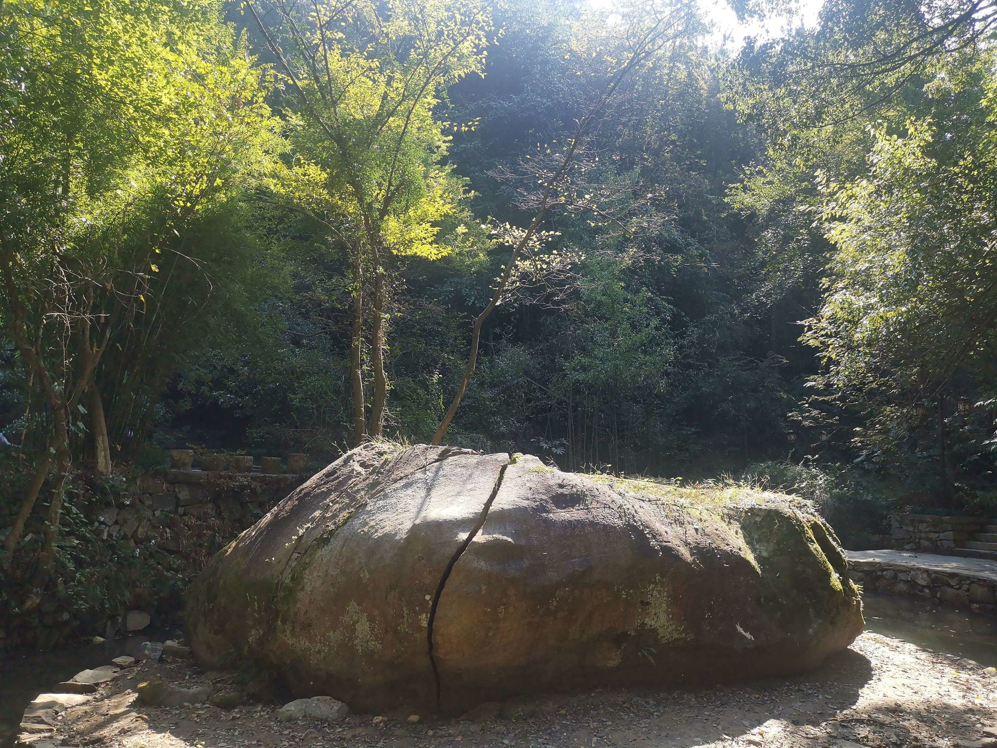 觅长生_觅长生wiki_觅长生结丹九品攻略