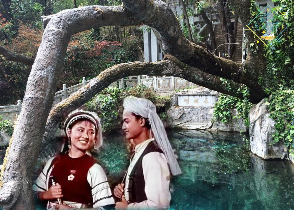 觅长生wiki_觅长生结丹九品攻略_觅长生