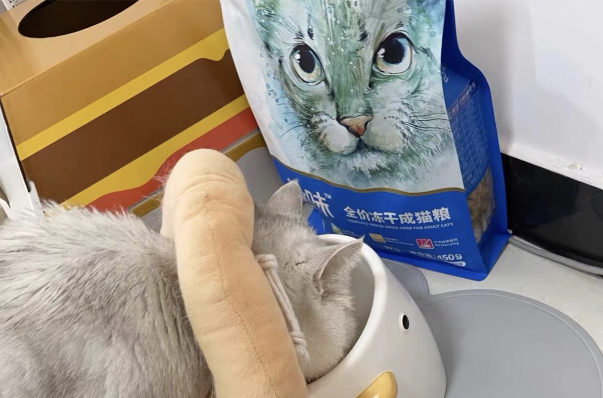 猫咪女游戏_猫女游戏手机版_猫女游戏