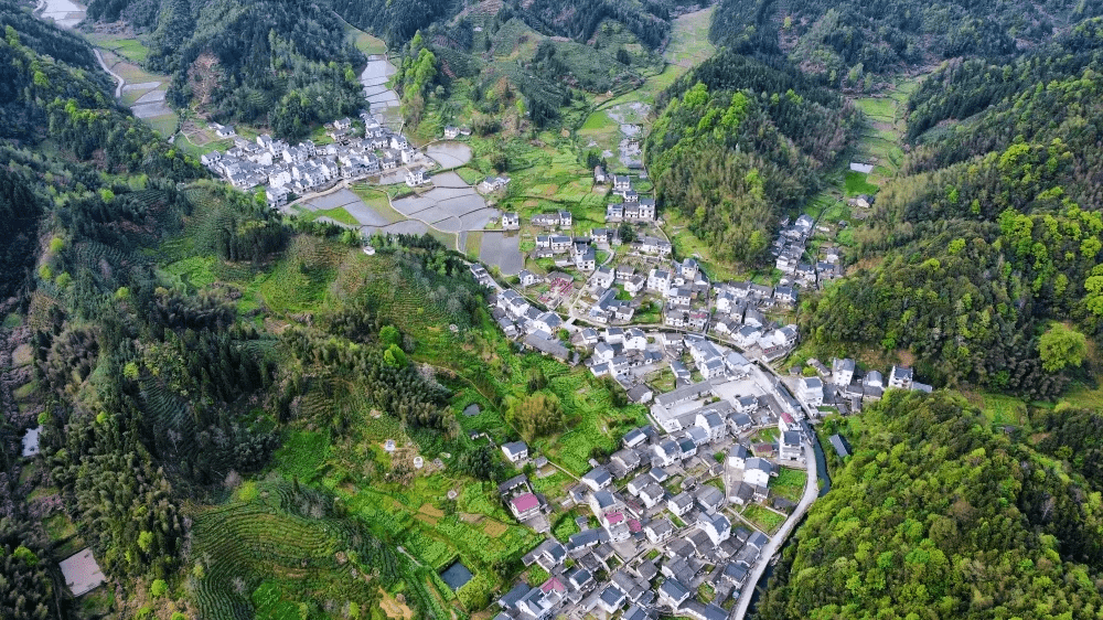 希望之村_村希望之星捐资助学教育促进会_村希望结对企业类型与性质